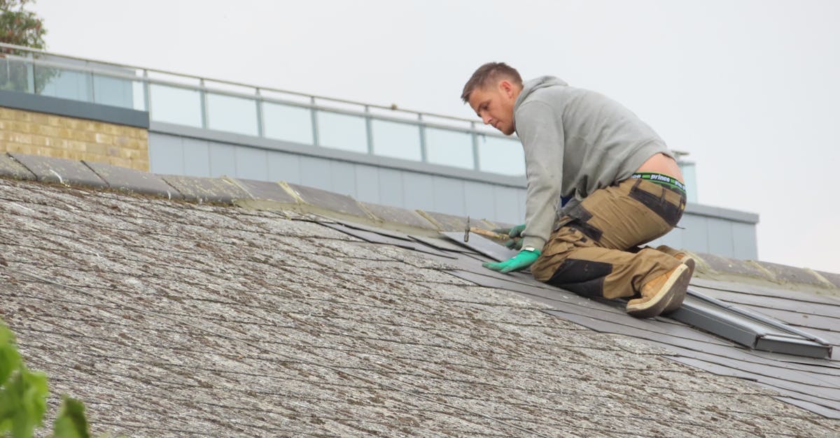 Breakdown of Average Costs for Different Roof Repair Types in Adelaide