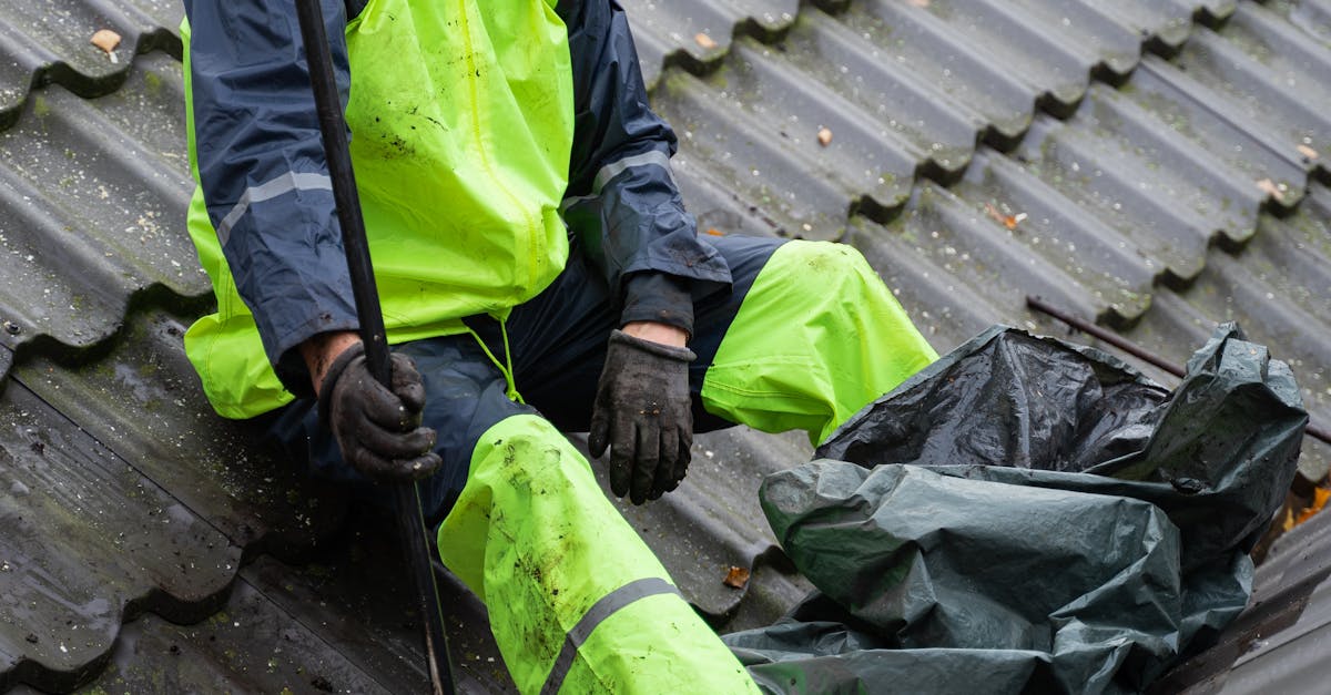 Common Issues with Asphalt Shingle Roofs and How to Fix Them