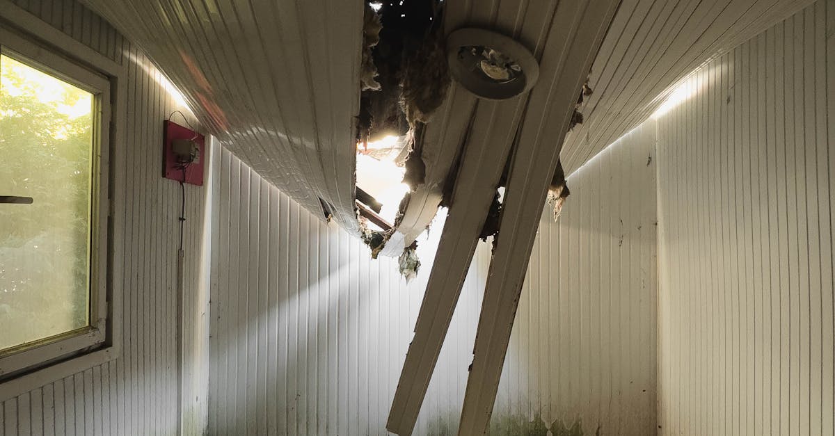 How the Size of Your Roof Affects Average Repair Costs in Adelaide