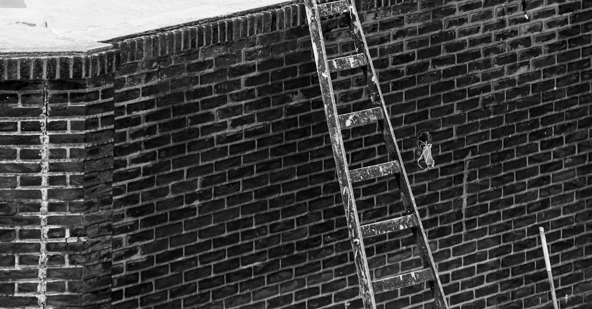 Understanding the Impact of Customer Ratings on Roofing Choices